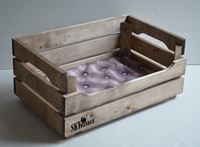 KLONDIKE polštář swan