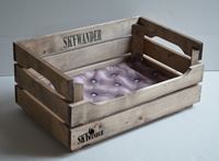 KLONDIKE Sky - polštář swan